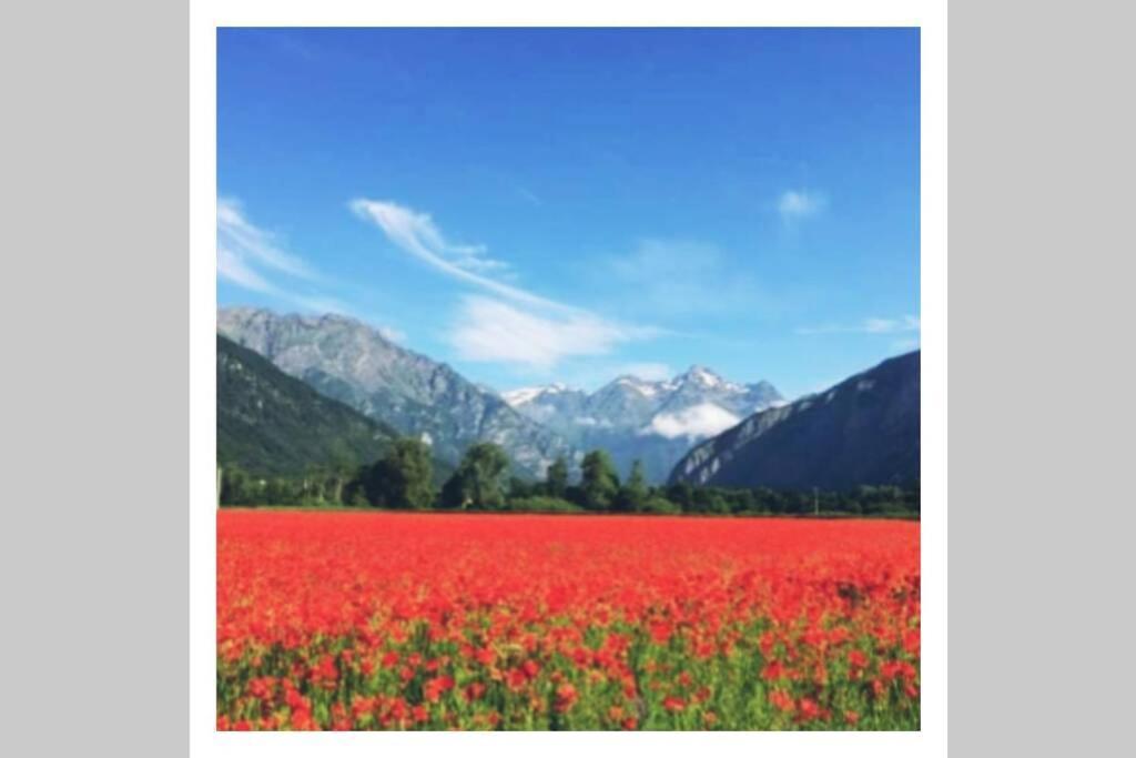 L'Edelweis Lägenhet Le Bourg-dʼOisans Exteriör bild